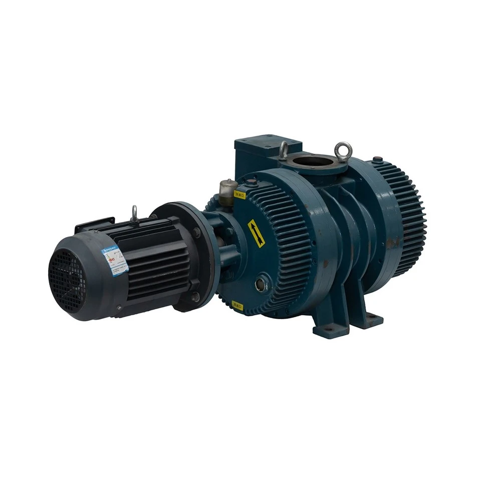 Roots Vacuum Pump